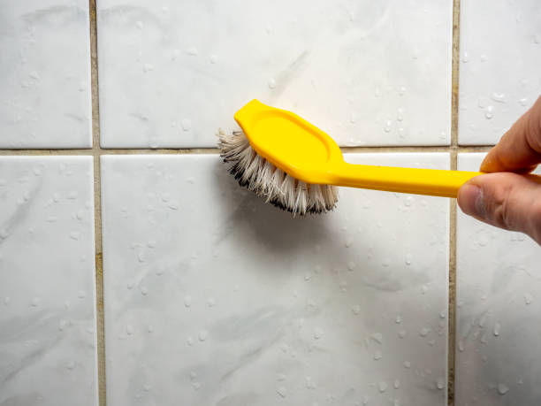 Best Mold Cleaning Services  in Claysburg, PA
