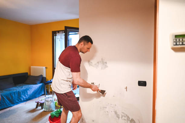 Best Mold Testing  in Claysburg, PA