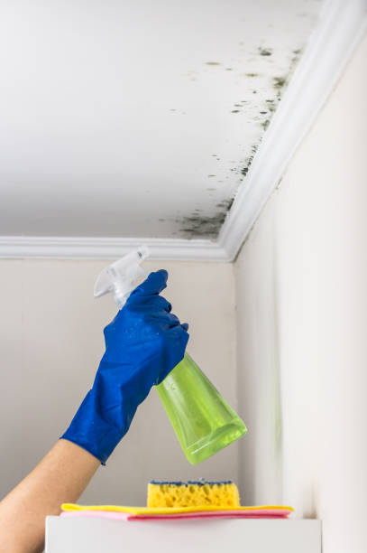 Best Crawl Space Mold Removal  in Claysburg, PA
